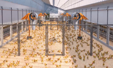 Little Giant&rsquo;s Green and Low-Carbon Welfare Farming System: Unlocking a New Future for Layer Hen Production.
