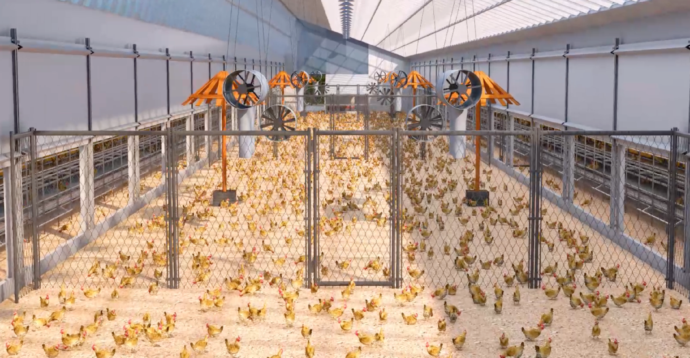 Little Giant’s Green and Low-Carbon Welfare Farming System: Unlocking a New Future for Layer Hen Production.