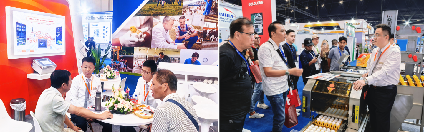 Live from Indo Livestock |2026 The Little Giant Group booth is buzzing with activity!