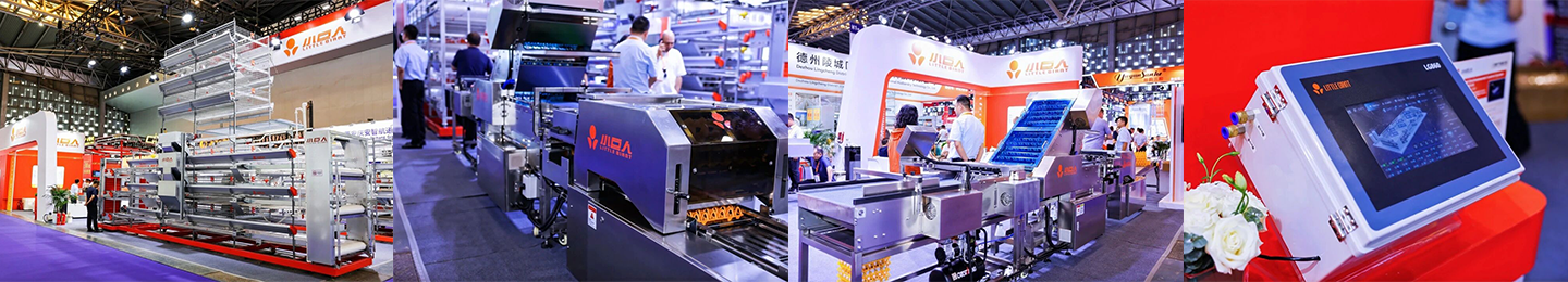 Smart Empowerment, Cohesion in Shanghai | Little Giant Group Makes Its Appearance at VIV SELECT CHINA 2026!