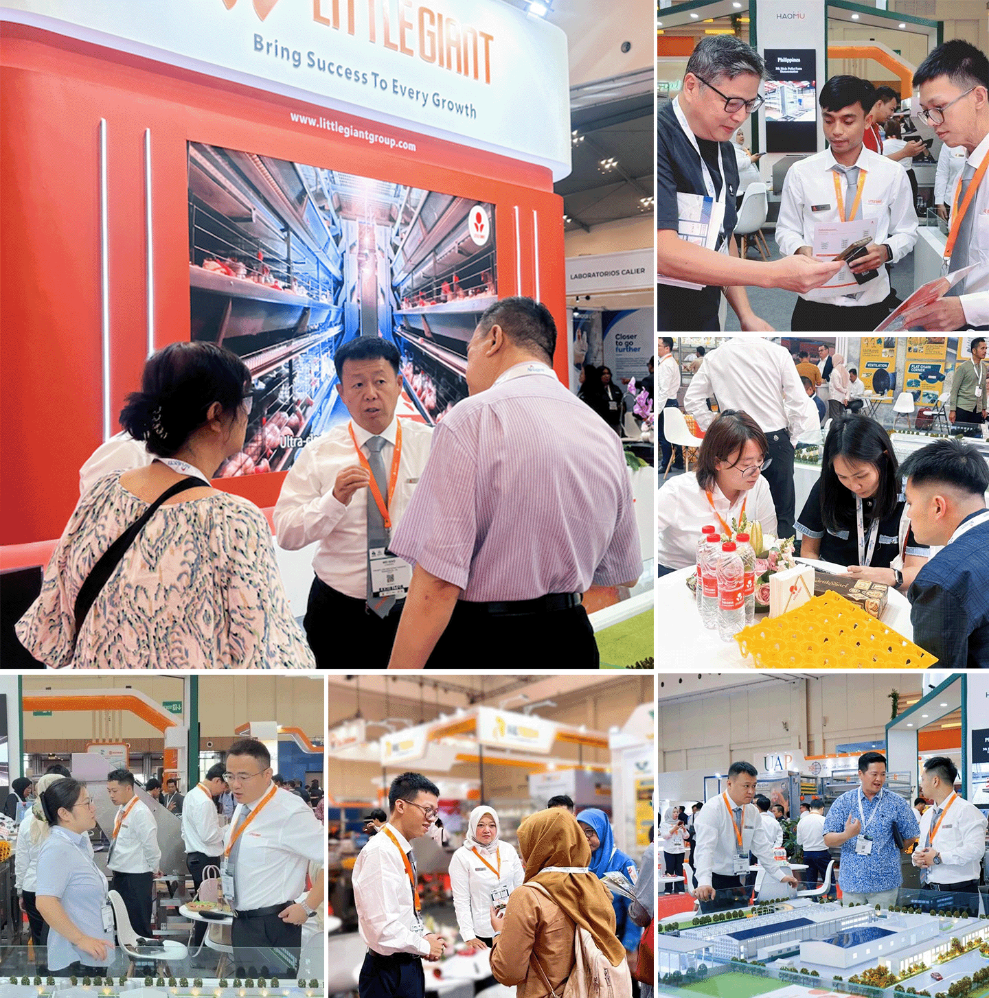 Showcase at ILDEX Indonesia 2026 | Little Giant Group’s Trip to Jakarta Comes to a Successful Close!